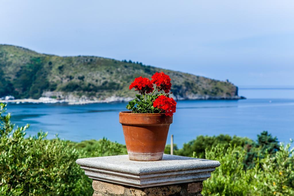 Donnasilia Bed & Breakfast Палинуро Екстериор снимка